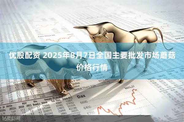 优股配资 2025年8月7日全国主要批发市场蘑菇价格行情